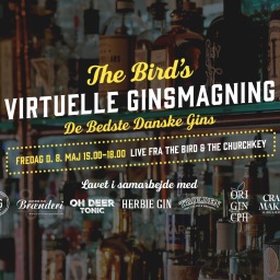 The Bird’s Virtuelle Ginsmagning